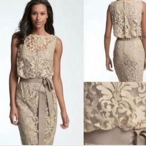 Tadashi Shoji Lace Dress - Size 8